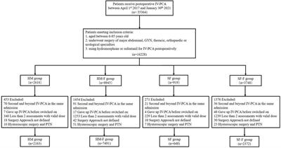 New insight into the analgesic recipe: A cohort study based on smart patient-controlled analgesia pumps records